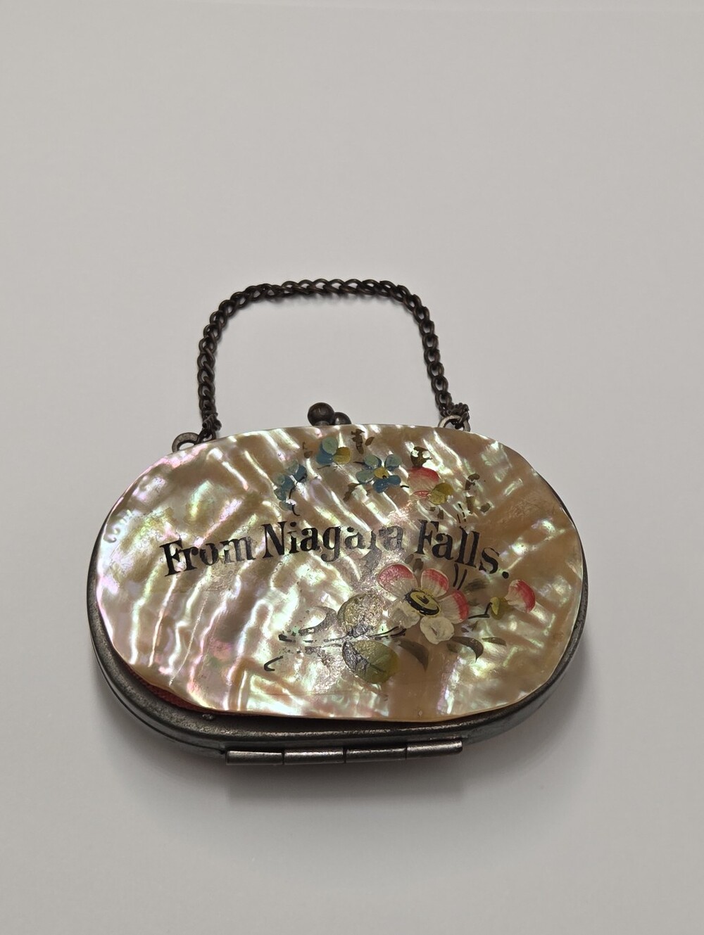 Antique 1920s Painted Mother Of Pearl Shell Niagara Falls Souvenir Change Purse